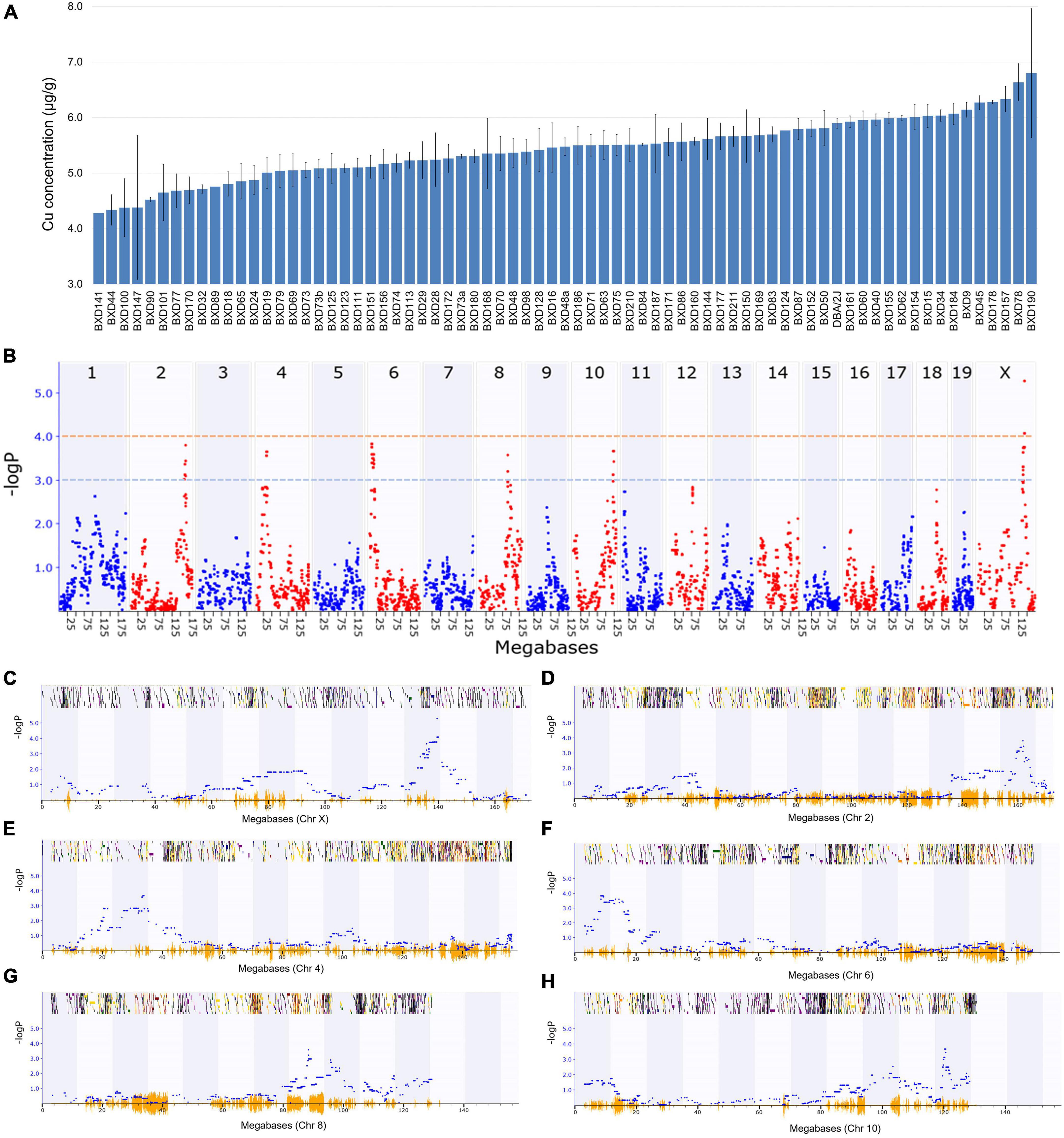 Cardiac copper content and its relationship with heart physiology: Insights based on quantitative genetic and functional analyses using BXD family mice